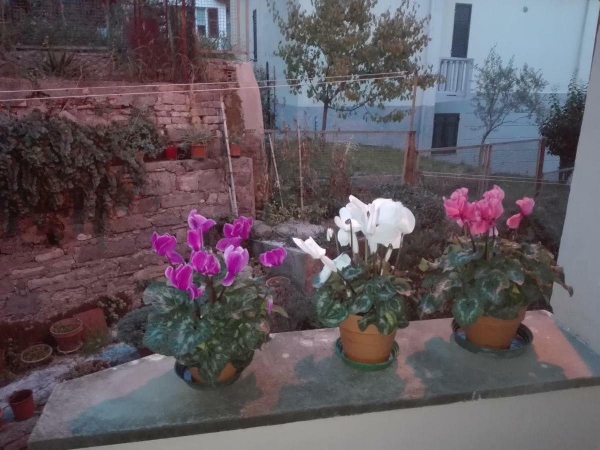 Il Borgo Antico Daire La Spezia Dış mekan fotoğraf